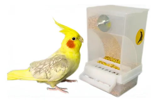Comedouro De Sementes Para Calopsitas Automatico Fim Sujeira Branco
